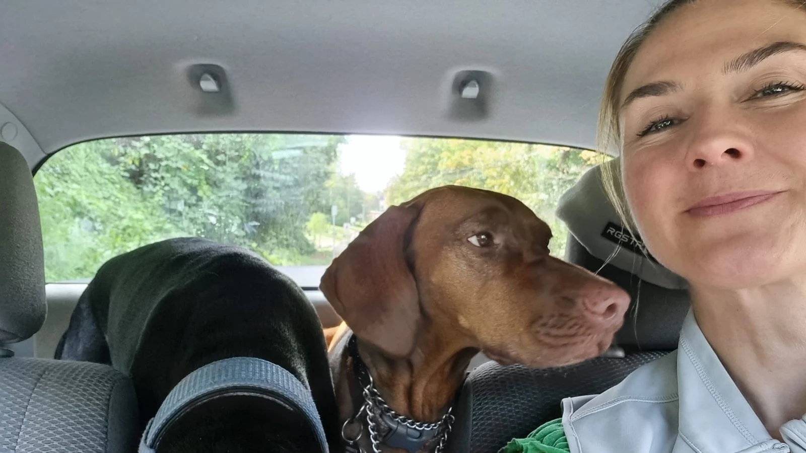 Agathe with Nikki and Blue in the car
