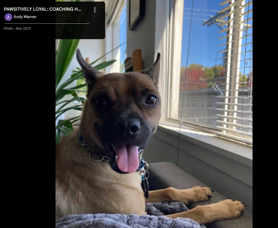 Cosmo, Andy Warner’s rescue dog