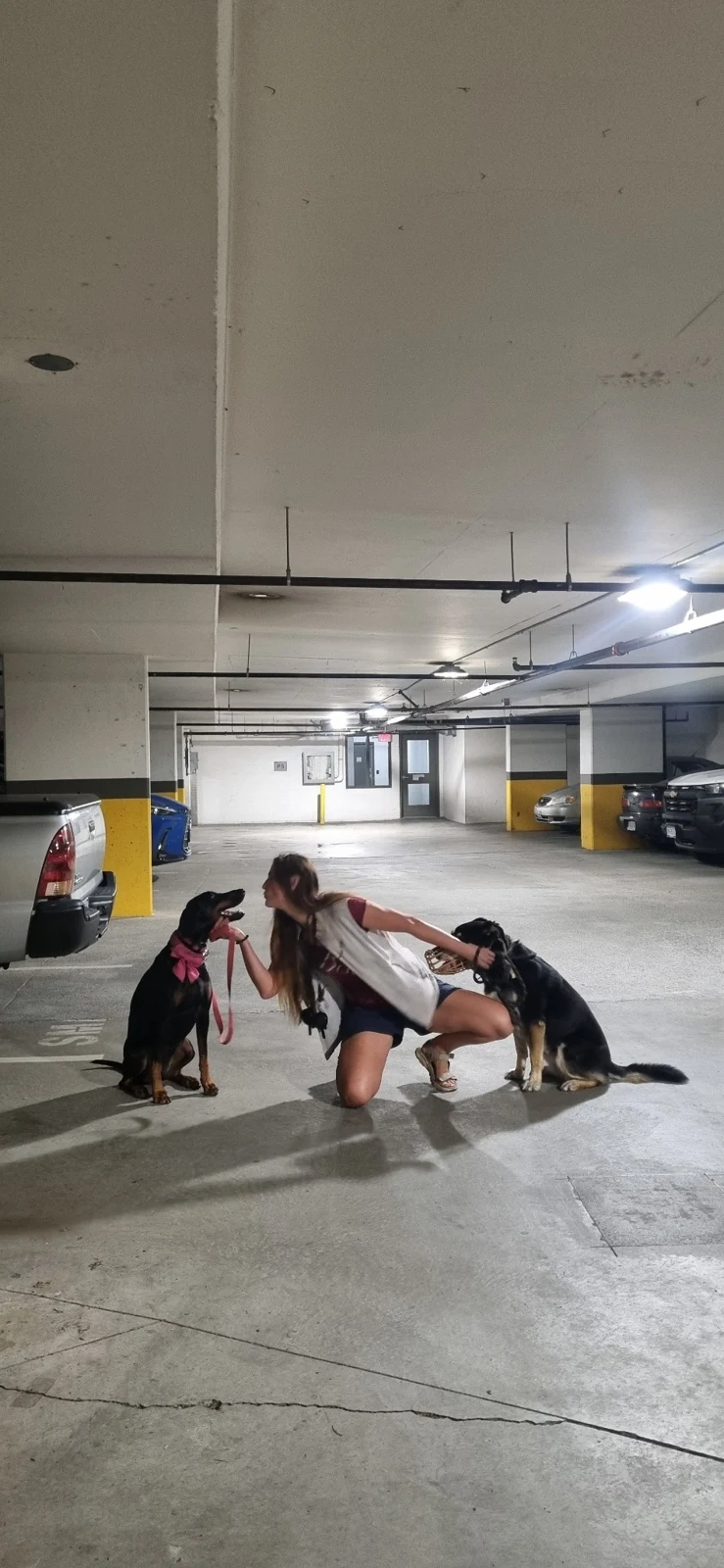 Agathe working with California and client dog Noodle